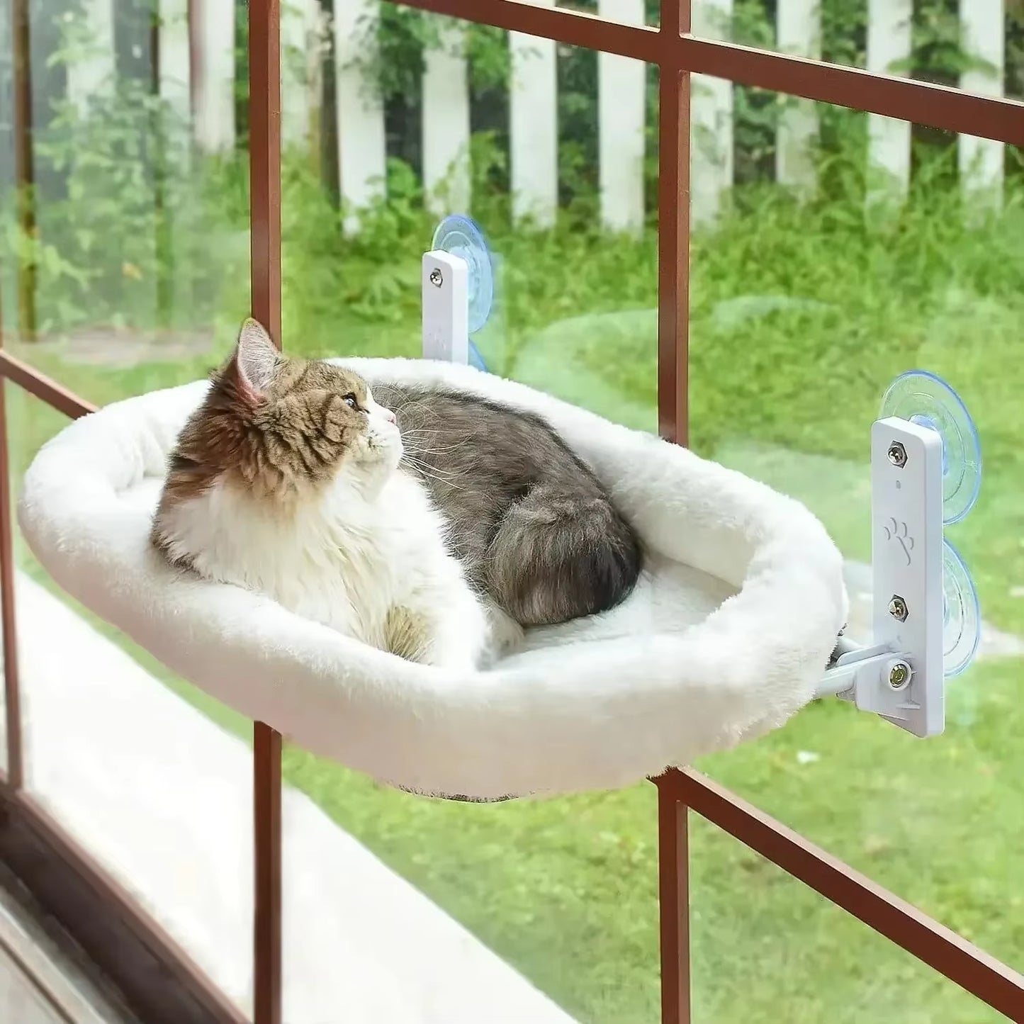 Pet Products Cat Hammock Window Habitat Cat Sunbathing Glass Hanging Suction Cup Balcony Pet Nests